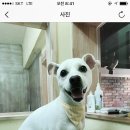 이쁘개멋있개 이미지