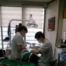 동은치과기공소 이미지