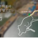 장고도5 이미지