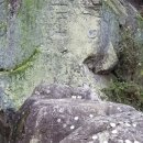 돌꽃 Daum카페