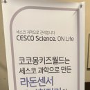 코코몽키즈월드 이미지