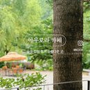 카페숲 이미지