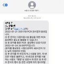 셀라꽃집 이미지