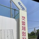 함미세탁 | 아기랑 갈만한 서울 근교 갯벌체험 :: 인천 영종도 마시안해변 마시안갯벌체험장