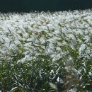 충주간호학원 이미지