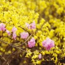 샬롬재가복지센터 이미지