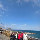 제주 쏠라티 렌트 후기 | 부부동반 여행 추천 여행사 🧳