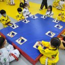 성균관태권스쿨 이미지