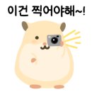 카페421
