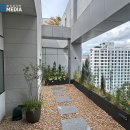 테라스치과의원 이미지