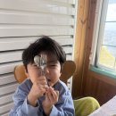 (주)효자로 해뜰날 | 리뭉일기 25주차 ~ 35주차✨