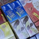 죠이랜드 | 3일차||상하이::홍커우공원(루쉰공원)_윤봉길의사 기념관, 따룬파 쇼핑, IFC몰, 홀리랜드 수건케이크...