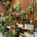 더블라썸플라워샵 이미지