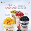 메리망고 이미지