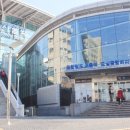 한라비발디 이팝나무 네이버블로그