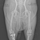 정창수외과동물병원 이미지