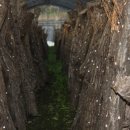 해월도가 이미지