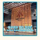 푸켓 카타 비치 아우리코 카타 리조트 내 돈 내산 후기