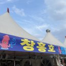 동명항 | [속초 맛집] 매년 이맘때 즐기는 동명항 “오징어난전” 후기!!!!