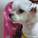 인천가축원 이미지