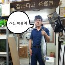 근영아빠 수족관 갈치 삼치 번개 모임 후기