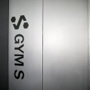 짐에스(GYM-S)