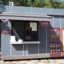 방학동 은행나무 이미지