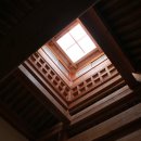 노래하는나뭇가지