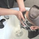 산호애견미용실 | 안산미용실, 여기서 인생 머리 찾았어요!