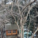 스테이 산위 이미지