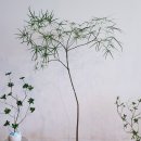 인천 청라 식물을 기르기엔 난 너무 게을러(식기난게) 방문후기(+르쁘띠쟈뎅)