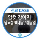 행복동물의료센터 이미지