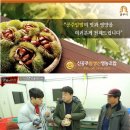 신공주밤생산영농조합 이미지