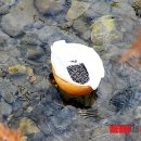 종문농장 이미지