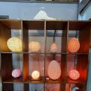 오션파라다이스 이미지