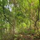 돋을볕펜션 이미지