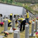 임실치즈축산업협동조합 이미지