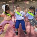 10월7일 잠실르엘새별,오금물빛,오주 어린이집 이미지