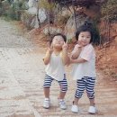 설아 이미지