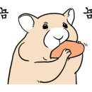 나현식당 이미지
