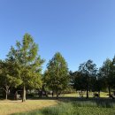 유스호텔 진입로  유스호텔 | #25-17 창녕 우포유스호스텔 야영장 [4번]