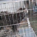 기라성볼링장 이미지