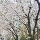 히포닉네일
