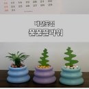 풀풀플라워 이미지