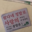 도미노피자 태안점 | 왔다네 정말로 아무도 안 믿었던 : 꽃지해수욕장 / 천리포수목원 / 촌캉스 외