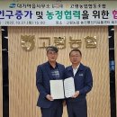 대가야읍사무소 이미지