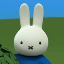 주차09 이미지