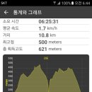 은봉