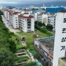 창원 내동패총 이미지