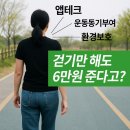 부여대봉곶감 | 걷기하면 돈버는 앱: 기후행동기회소득 앱 활용과 동기부여
